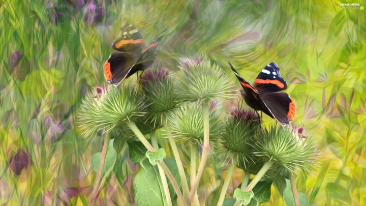 graphics, plant, teasel, butterflies - For phone wallpapers: 1920x1080