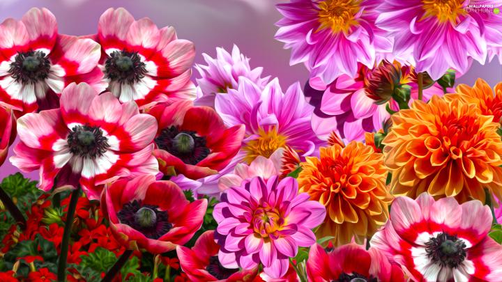 Flowers, Anemones, graphics, dahlias - For phone wallpapers: 1920x1080