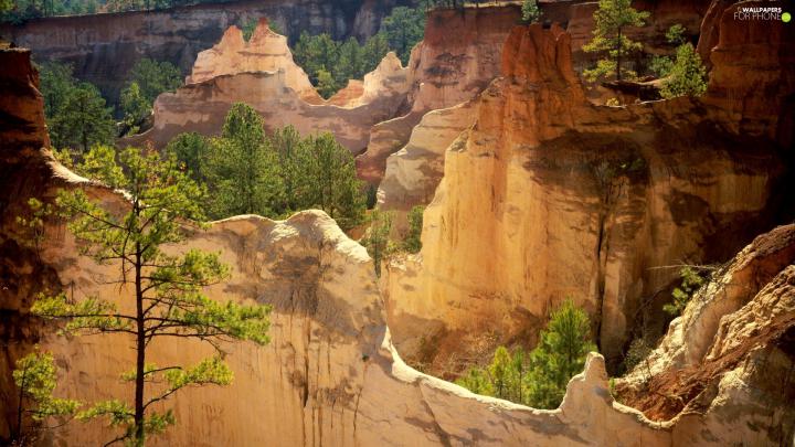 canyon, trees, viewes, rocks - For phone wallpapers: 1920x1080