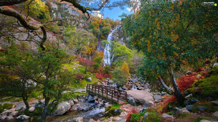 trees, bridges, Stones, waterfall, River, viewes, Mountains - For phone 