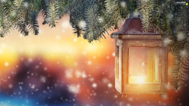 Swierk, snow flakes, lantern, Twigs, decoration - For phone wallpapers 