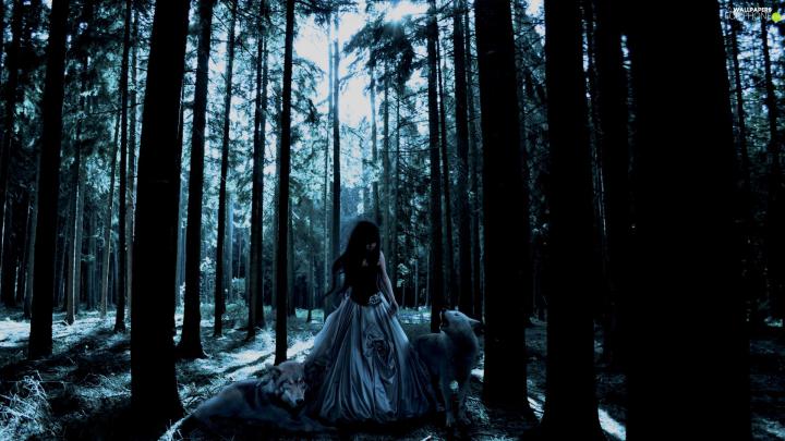 forest, wolves, girl, Night - For phone wallpapers: 1920x1080
