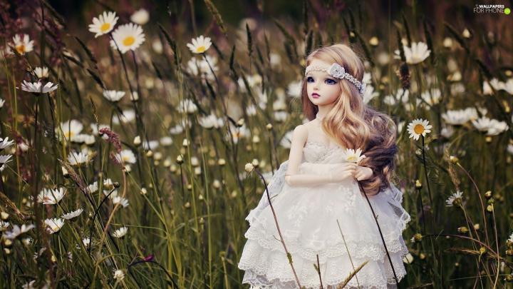 Meadow, doll - For phone wallpapers: 1920x1080