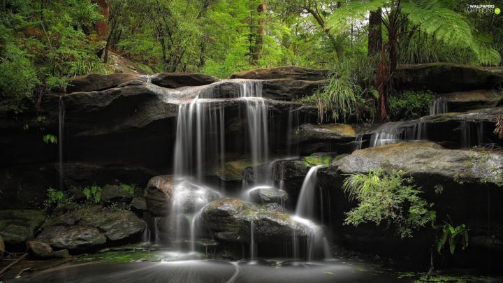 trees, viewes, cascade, rocks, waterfall - For phone wallpapers: 1920x1080