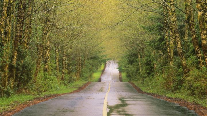 Pin by andrew on ololoshenka | Rain wallpapers, Country roads, Cool 