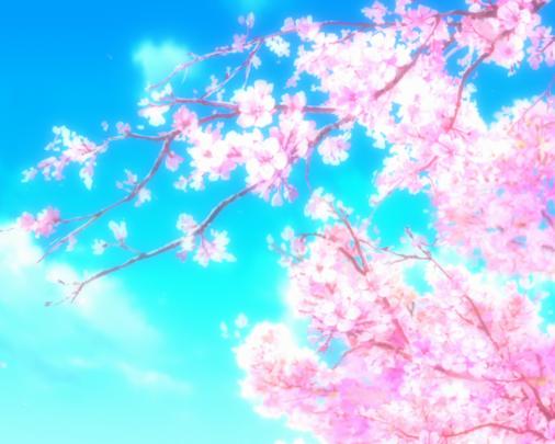 Free download Anime Sakura Sakura Tree Cherry Blossom Sakura Blossom 