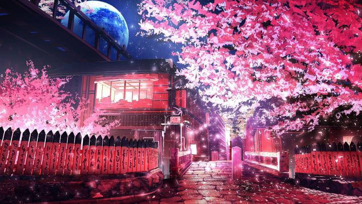 Anime Sakura Tree Wallpapers - Top Free Anime Sakura Tree Backgrounds 