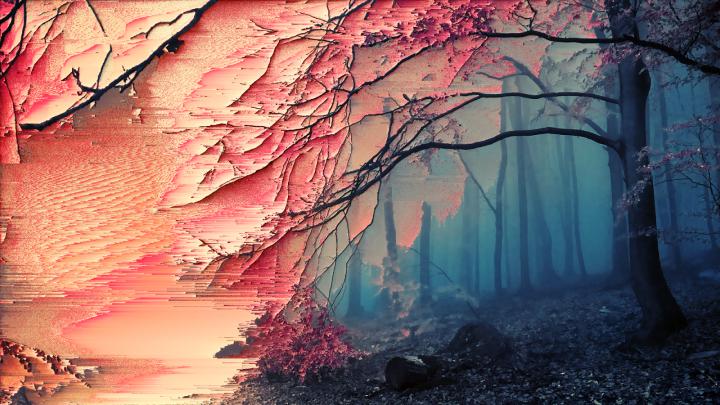 Wallpaper : trees, forest, glitch art, sakura tree, screenshot 