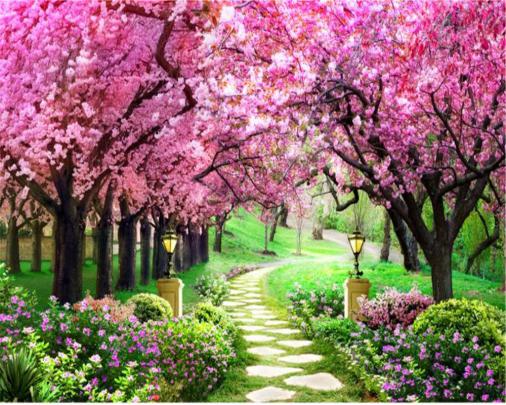 Cherry Blossom Garden Wallpapers - Top Free Cherry Blossom Garden 