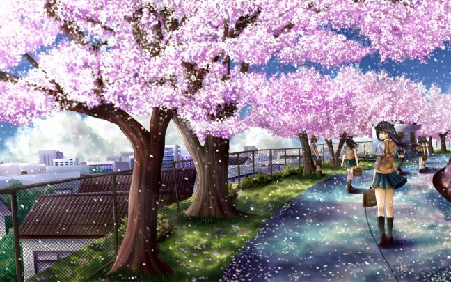 Sakura Background -