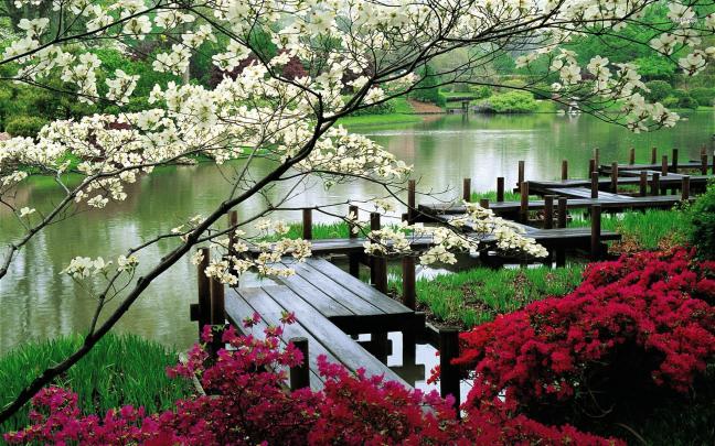 Japanese Garden Cherry Blossom Wallpapers - Top Free Japanese Garden 