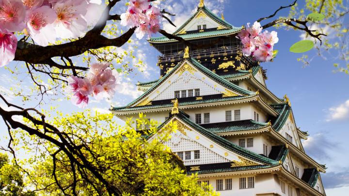Spring Cherry Blossoms Desktop Wallpapers - Top Free Spring Cherry 