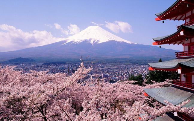 Free download japan mount fuji cherry blossoms 1920x1080 wallpaper Art 