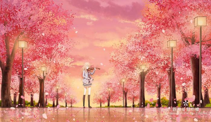 Sunset Cherry Blossom Wallpapers - Top Free Sunset Cherry Blossom 