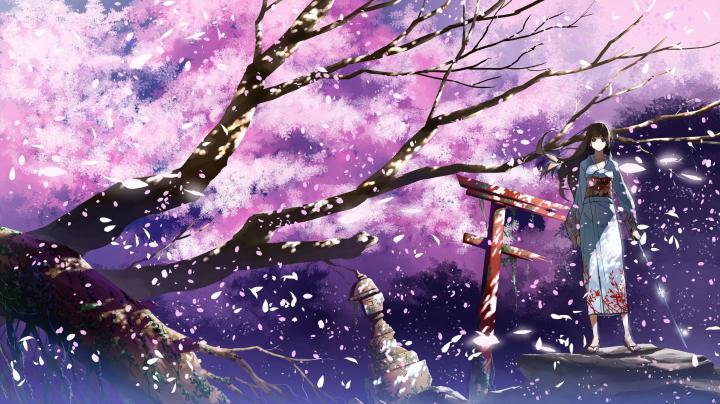 Drawn Cherry Blossom Desktop Wallpapers - Top Free Drawn Cherry Blossom 