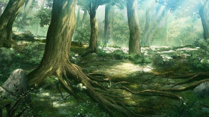 Anime Tree Wallpapers on WallpaperDog