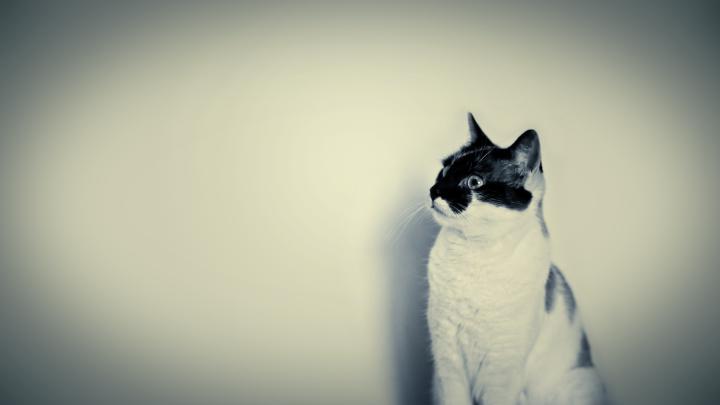 Hipster Desktop Wallpaper (79+ images)