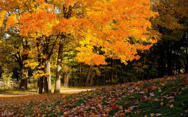 fall desktop background | HD wallpaper gallery #53