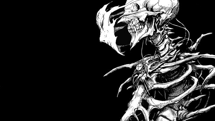 Skeleton Wallpaper (55+ pictures)