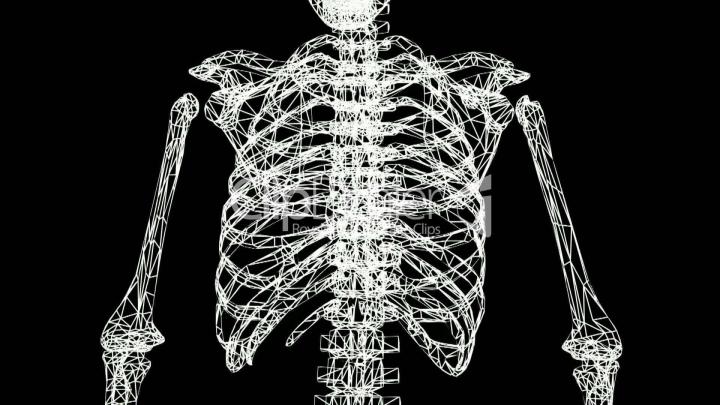 Skeleton Wallpapers (61+ background pictures)