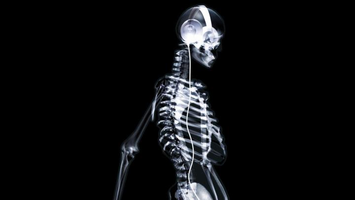 Skeletons Wallpapers (55+ background pictures)