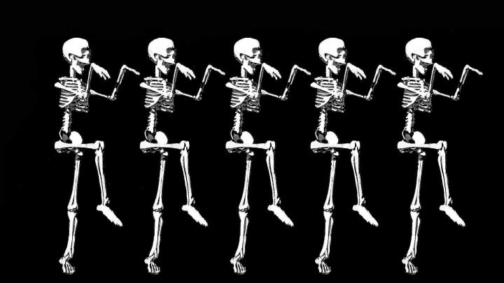 Halloween Skeleton Wallpapers - Top Free Halloween Skeleton Backgrounds 