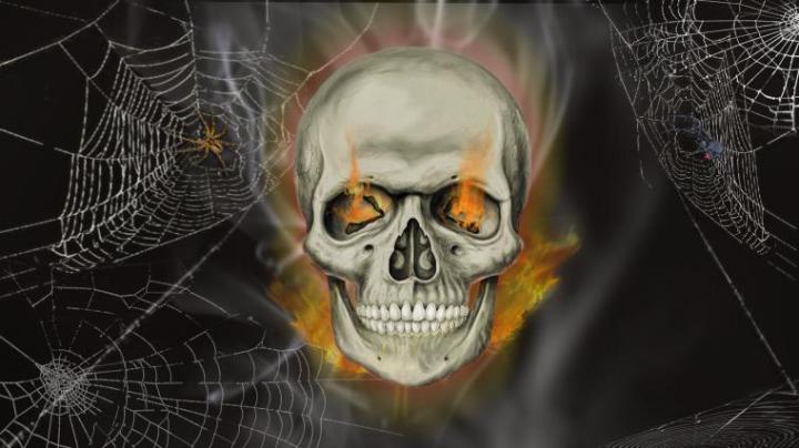 Free download halloween skeleton skull wallpaper 1920x1080 296977 