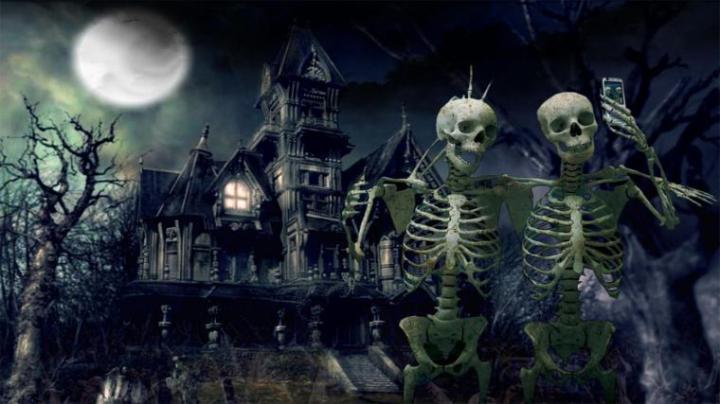 Free download halloween skeleton skull wallpaper 1920x1080 296977 