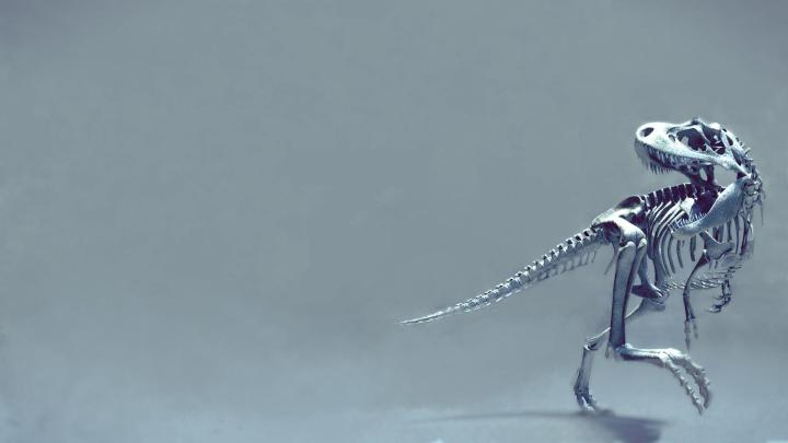 [37+] Dinosaur Skeleton Wallpaper 