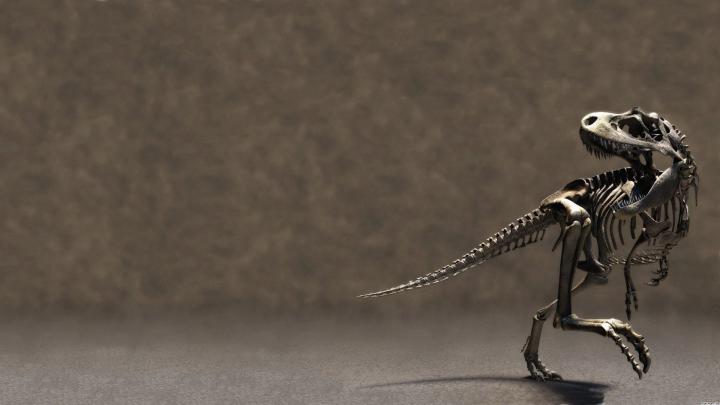 [37+] Dinosaur Skeleton Wallpaper 