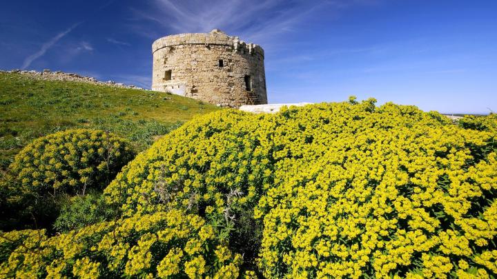 landscapes nature fortress spain yellow flowers 1920x1080 wallpaper 