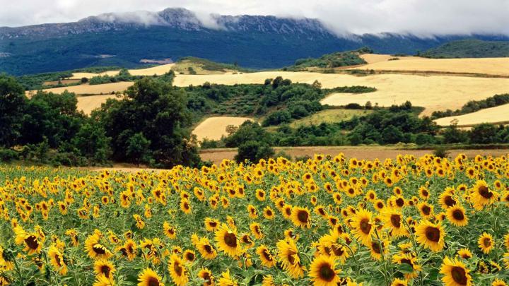 nature world spain parks 1920x1080 wallpaper High Quality Wallpapers 