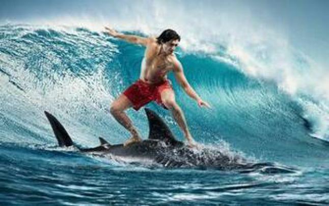 Free download computer wallpapers 10 Surfing Wallpapers 1920x1200 