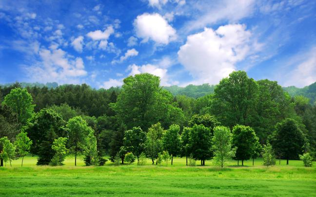 Green Landscape wallpaper | 2560x1600 | #53376