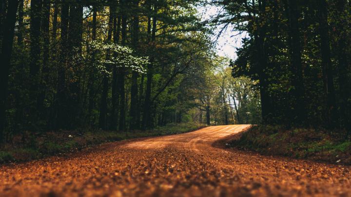 Download wallpaper 1920x1080 road, alley, trees, branches, distance 