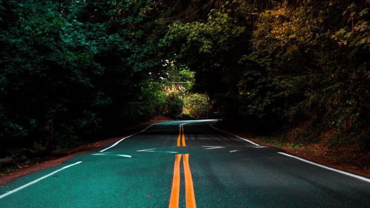 Download wallpaper 1920x1080 road, marking, turn, trees, asphalt full 