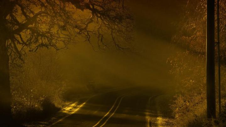 Download Wallpaper 1920x1080 road, night, fog, marking Full HD 1080p HD 