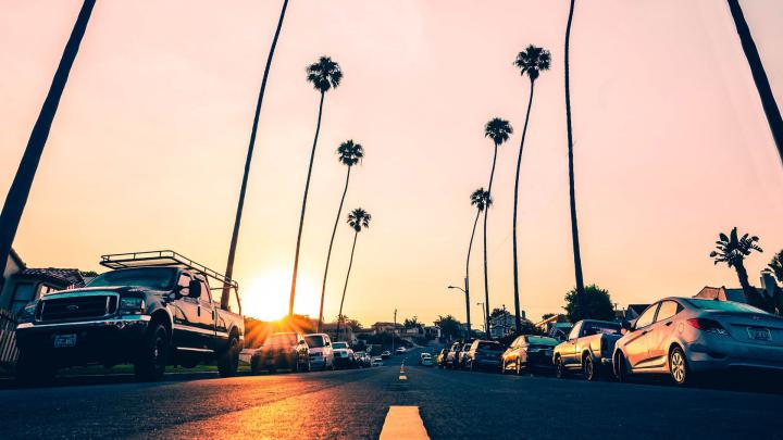 Download wallpaper 1920x1080 road, palm trees, asphalt, cars, marking 