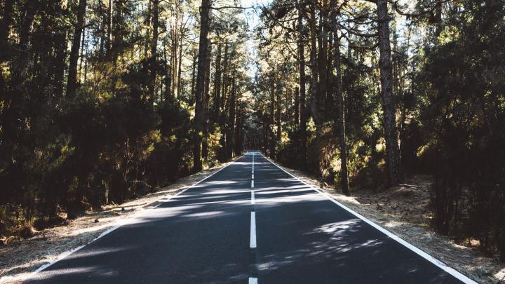 Download wallpaper 1920x1080 road, marking, distance, trees, forest 