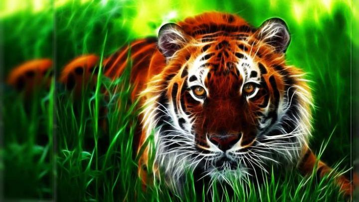 (10) Full Hd 3d Wallpapers 1920x1080 Desktop - 2K Best of Pictures 