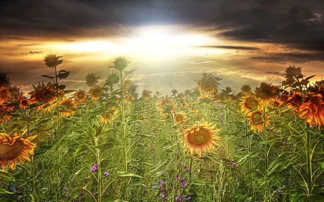 full hd 3d wallpapers 1920x1080 - wallpaper 3d background | Flickr