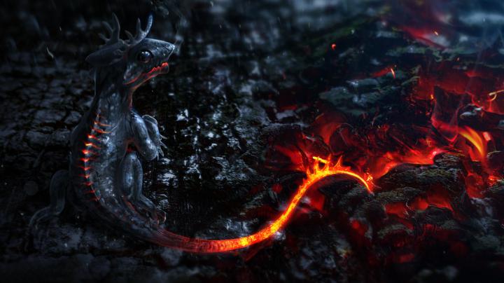 Free download Dragon Wallpapers Best Wallpapers [1920x1080] for your 