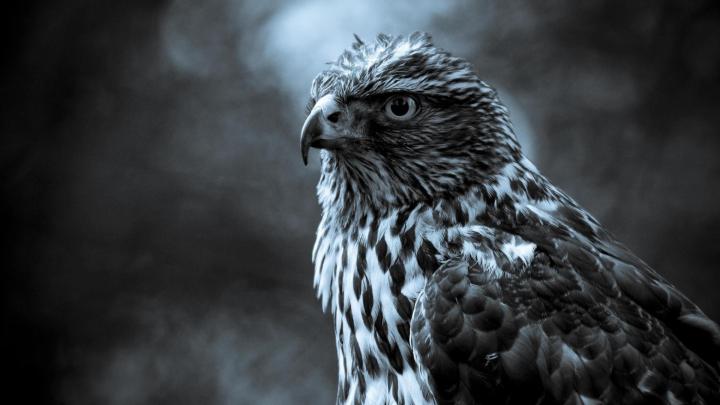 Full HD 3D Wallpapers 1920x1080 (67+ images)