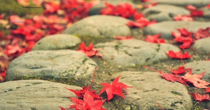 Full Hd 3D Wallpapers 1920X1080 Free Download Love - k7off