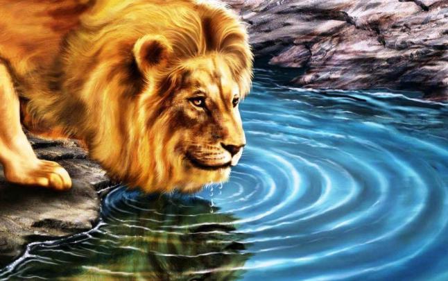 View 24 Desktop Backgrounds Full Hd 3D Wallpapers 1920X1080 Free 