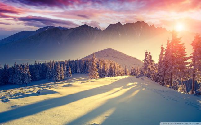 77+ Winter wallpapers \u00b7\u2460 Download free cool backgrounds for desktop 
