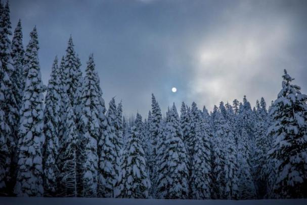 77+ Winter wallpapers \u00b7\u2460 Download free cool backgrounds for desktop 