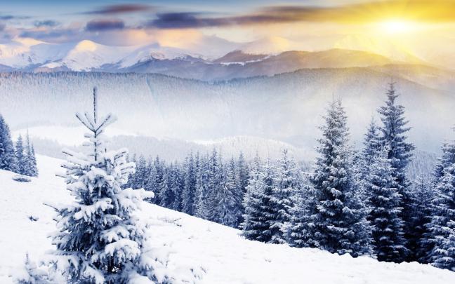 Winter Background Scenes \u00b7\u2460 