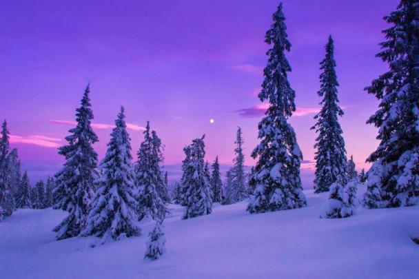 23+ Hd Winter Computer Wallpaper