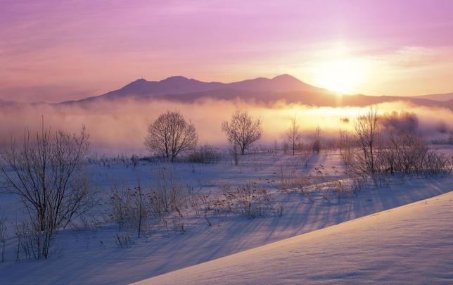 Snowy Wallpapers on WallpaperDog